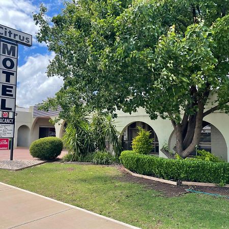 Citrus Motel Griffith Exterior foto